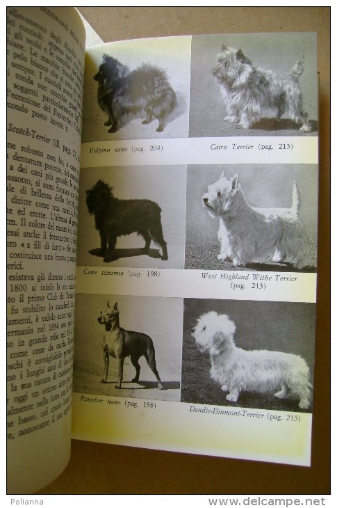 PCI/19 Klever IL CANE Ed.Mediterranee 1959/RAZZE/ALLEVAMENTO/CO LLIE/TERRIER... - Animaux De Compagnie