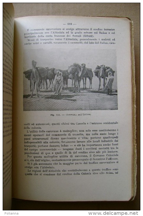 PCI/37 S.Grande TERRARUM ORBIS Paravia 1939/Alassio/Napoli/Autos Trada Brescia-Bergamo/Transatla Ntico "Rex"/Littoria - Histoire, Philosophie Et Géographie