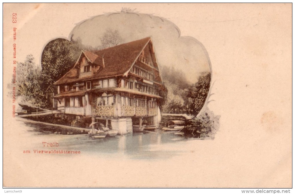 TREIB Am Vierwaldstattersee  Villa Lac ( Carte Nuage …. ) - Autres & Non Classés