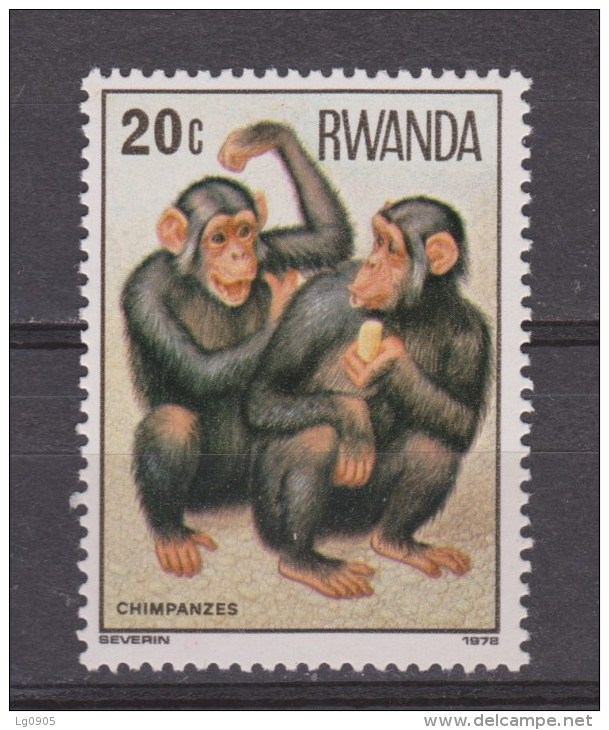 Rwanda MLH ; Chimpansee 1978 - Chimpanzés