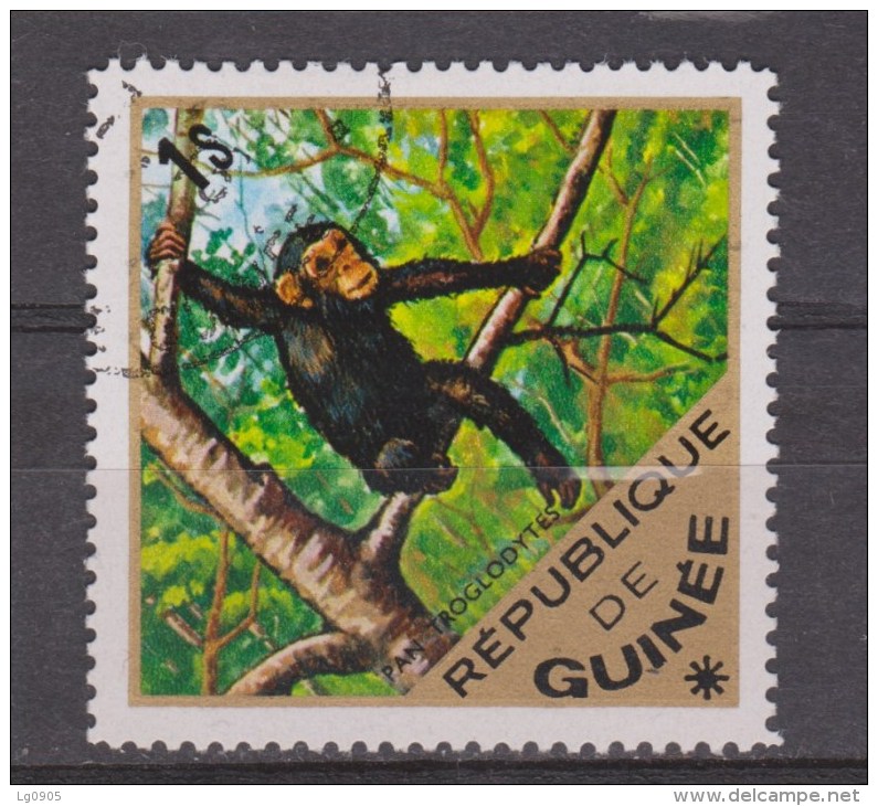 Guinee Used ; Chimpansee - Chimpanzés