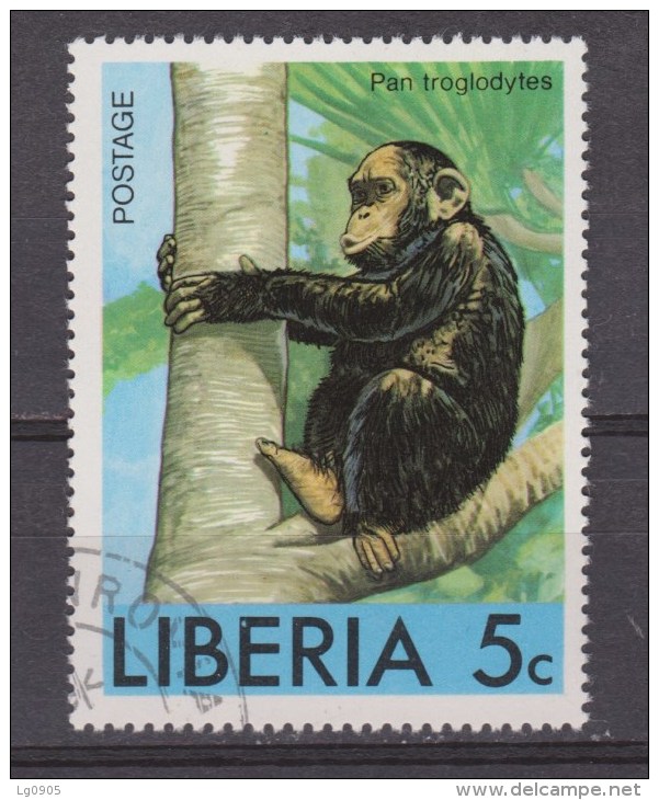 Liberia Used ; Chimpansee - Chimpanzees