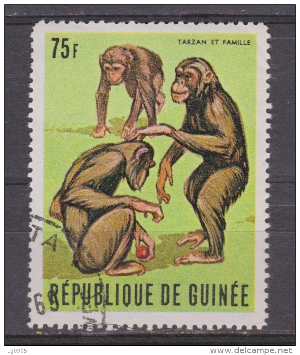 Guinee Used ; Chimpansee - Chimpanzés