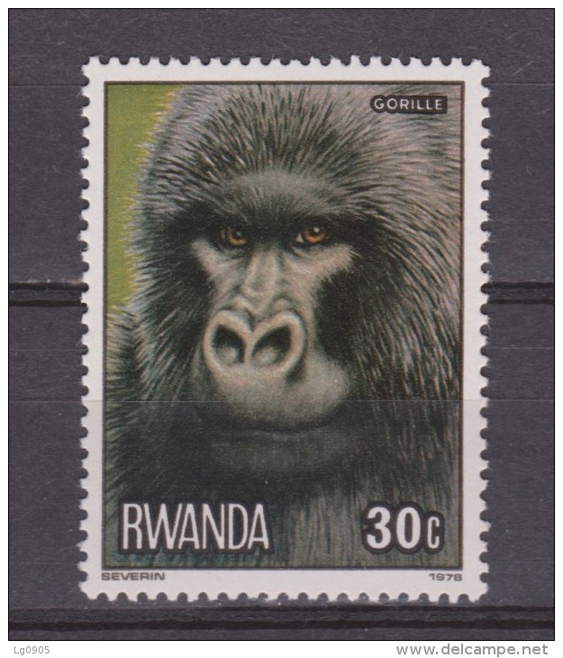 Rwanda MLH ; Gorilla 1978 - Gorilas