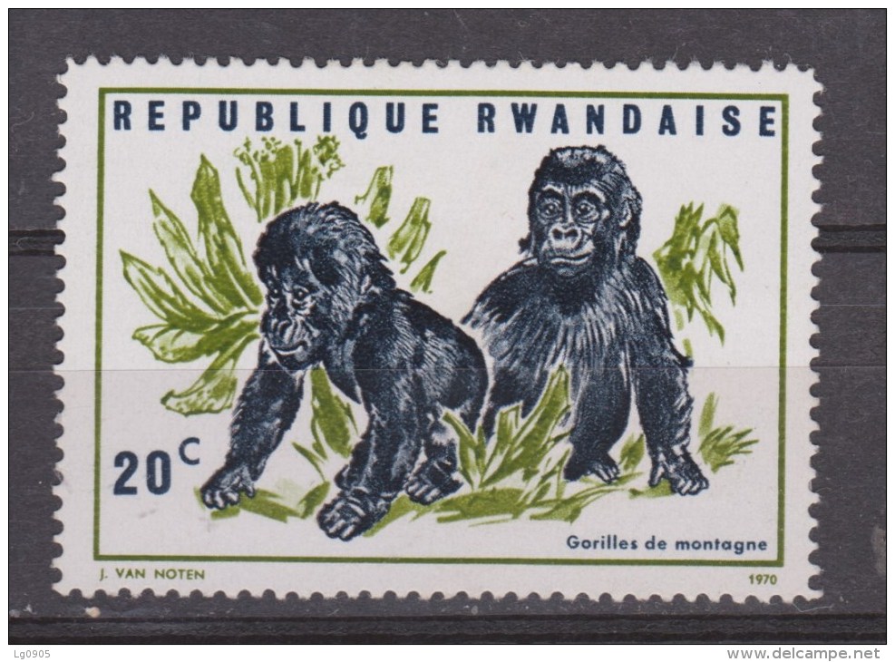 Rwanda MLH ; Gorilla 1970 - Gorilles