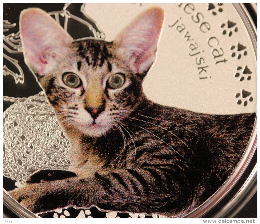 Javanese Cat With Swarovski Eyes .999 - Niue