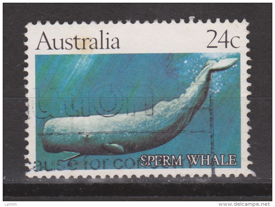 Australie, Australia Used; Walvis, Whale, Ballena, Baleine - Baleines