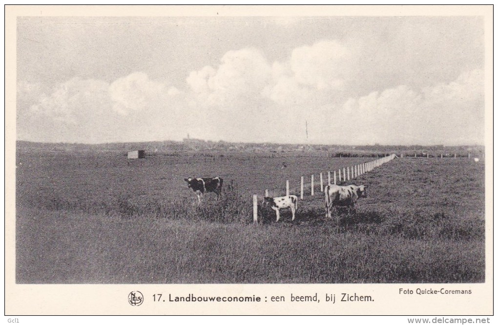 Scherpenheuvel - Een Beemd Bij Zichem - Scherpenheuvel-Zichem