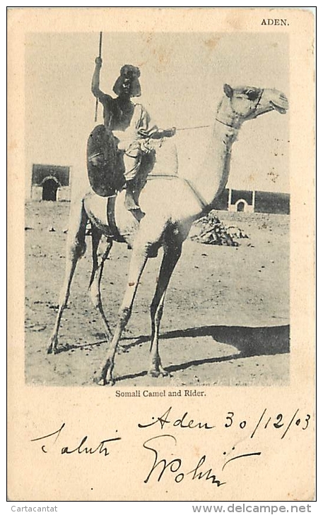 SOMALIA. FIERO CAVALIERE SOMALO A CAVALLO DI UN CAMMELLO. BELLA CARTOLINA ETNICA PRIMI DEL '900 - Somalia