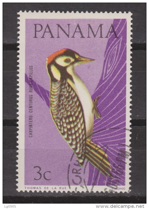 Panama Used ; Specht, Pic, Pico, Woodpecker - Spechten En Klimvogels