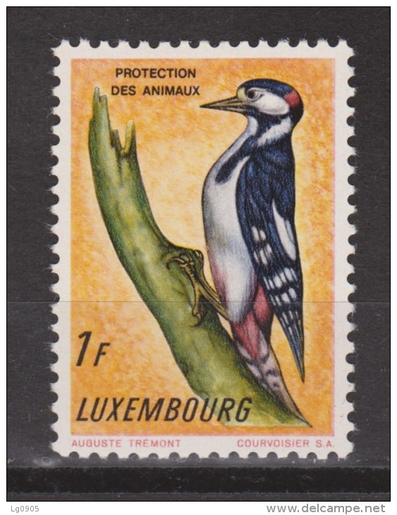 Luxemburg MLH  ; Specht, Pic, Pico, Woodpecker 1966 - Piciformes (pájaros Carpinteros)