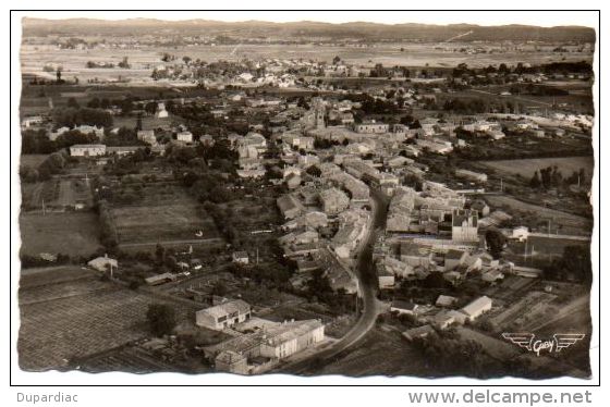 33 - Gironde / SAINT-CIERS-sur-GIRONDE -- Vue Générale, Au Fond, Les Martineau Et Les Reynard. - Autres & Non Classés