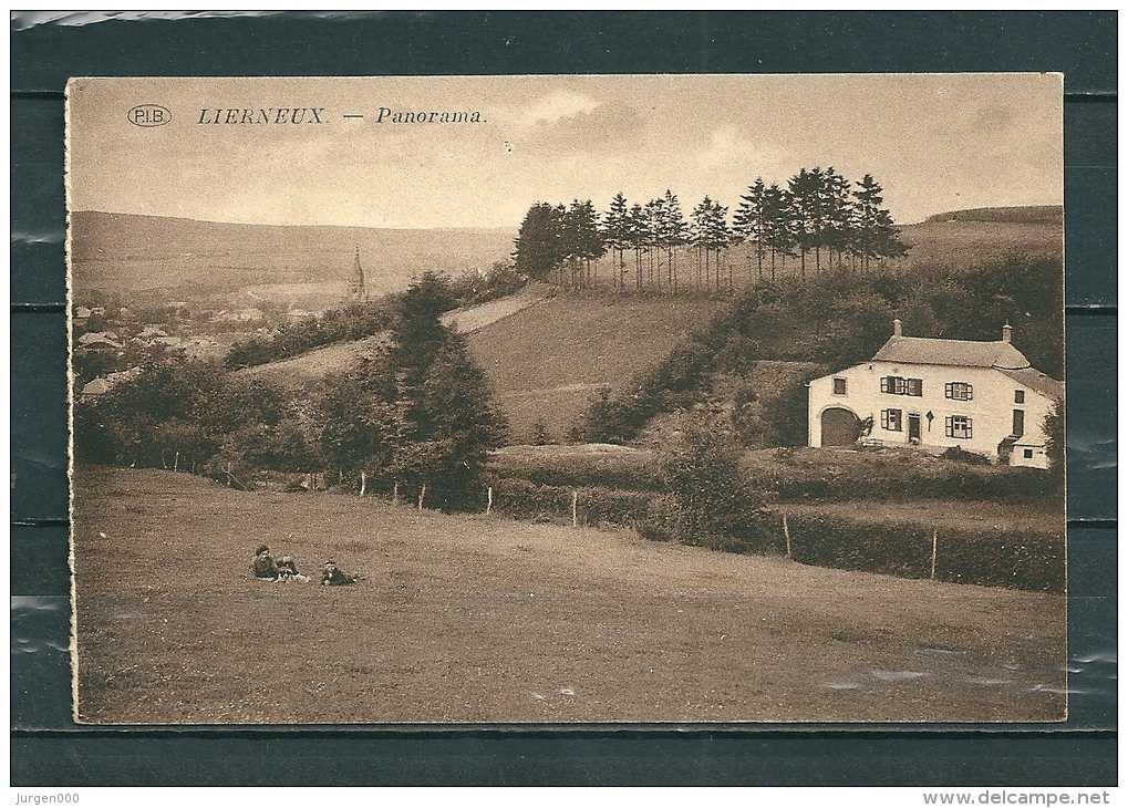 LIERNEUX: Panorama, Niet Gelopen Postkaart (GA16737) - Lierneux