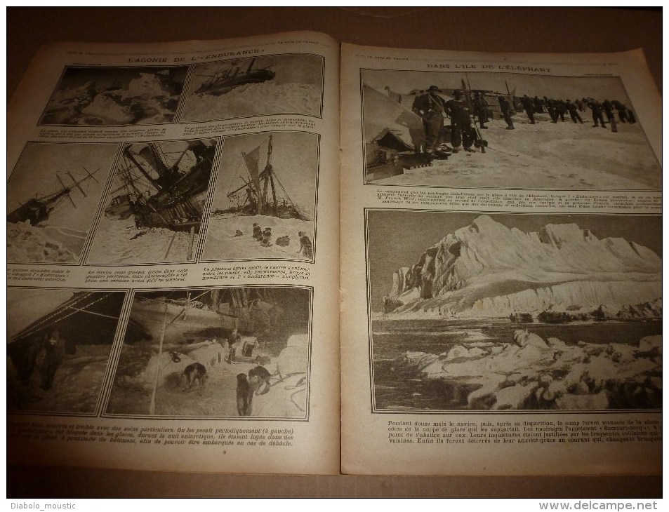 1917 LPDF: Belgique; Dessin Benjamin Rabier ; EXPEDITION SHACKLETON (important documentaire);Attelage mulets  (Vosges)