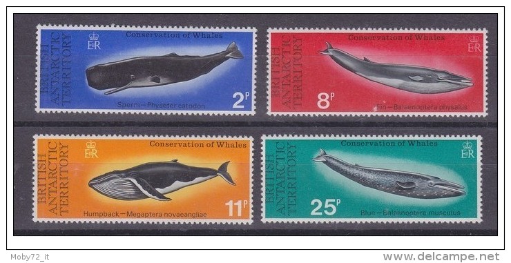 Territori Antartici Britannici - 1977 - Nuovo/new - Balene - Mi N. 64/67 - Unused Stamps