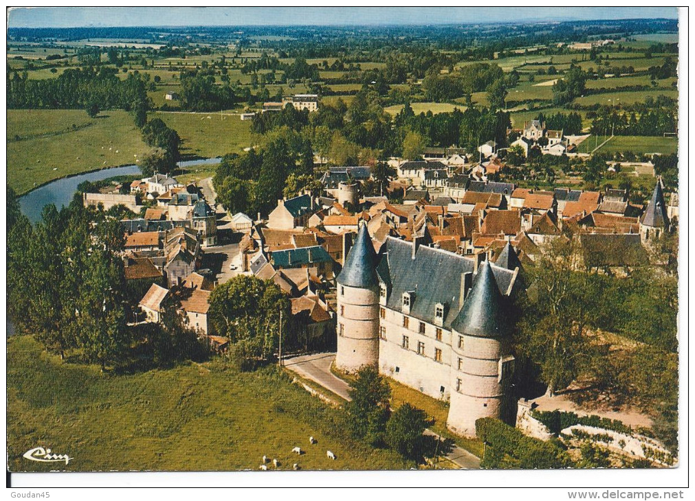 JALIGNY-sur-BESBRE (Allier)  Vue Générale Aérienne Et Le Chateau - Autres & Non Classés