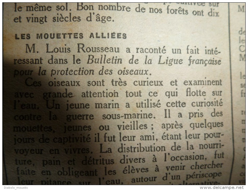 1918 LPDF: Fanions LPDF;Arkhangel;Union ALSACE-LORRAINE;Les Q-BOATS; Yanks; Y.M.C.A; Diverses recettes et informations