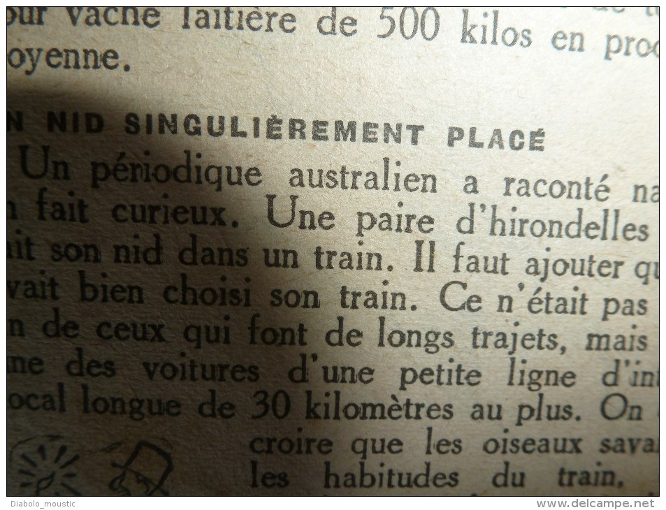 1918 LPDF: Fanions LPDF;Arkhangel;Union ALSACE-LORRAINE;Les Q-BOATS; Yanks; Y.M.C.A; Diverses recettes et informations