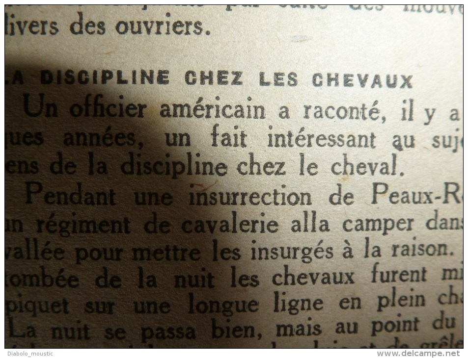 1918 LPDF: La Sarre;Fanions LPDF;Tous nos alliés à Strasbourg; VIVE LA BELGIQUE;Le "Queen-Elisabeth"; Les Echos (infos)