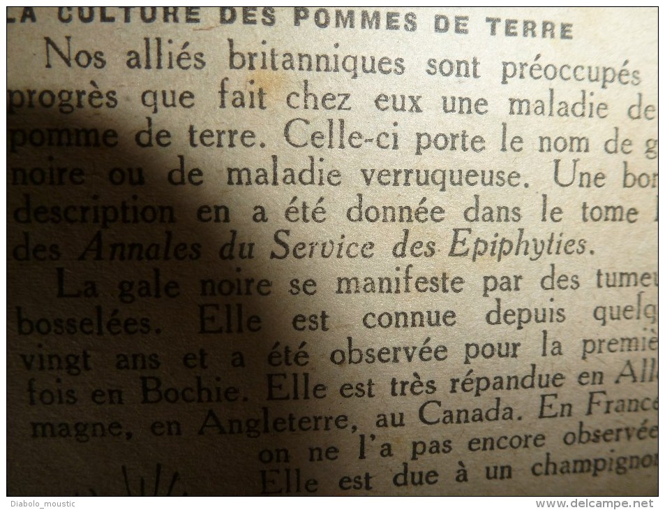 1918 LPDF: La Sarre;Fanions LPDF;Tous nos alliés à Strasbourg; VIVE LA BELGIQUE;Le "Queen-Elisabeth"; Les Echos (infos)