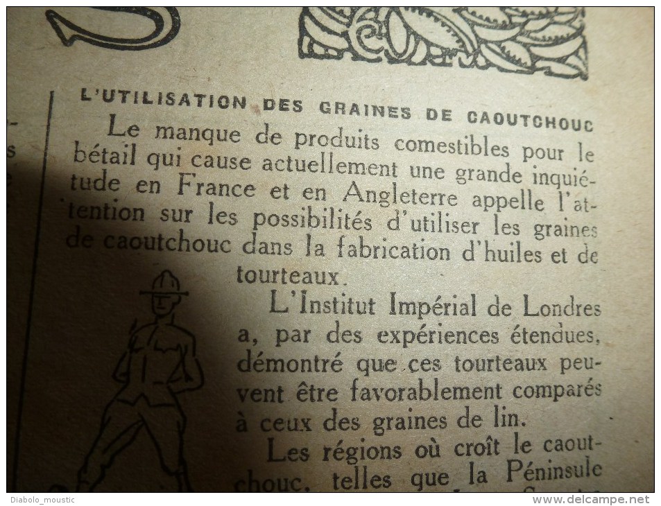 1918 LPDF: La Sarre;Fanions LPDF;Tous nos alliés à Strasbourg; VIVE LA BELGIQUE;Le "Queen-Elisabeth"; Les Echos (infos)