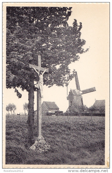 SINT-ELOOIS-WINKEL : De Molen - Ledegem