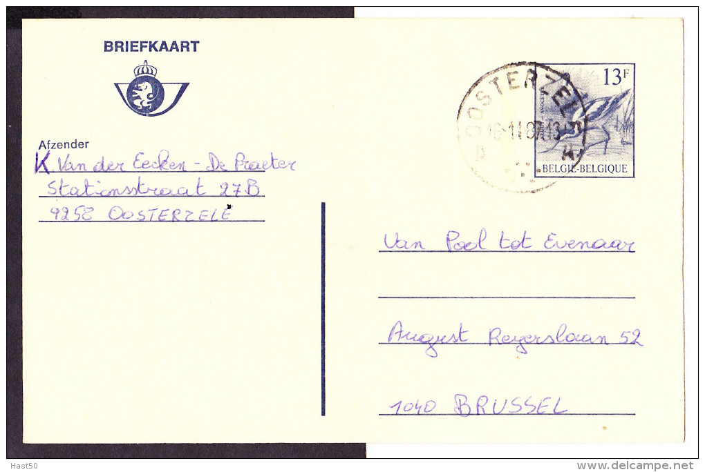 Belgien Belgium Belgique - Postkarte Säbelschnäbler (MiNr: P 482 IV) 1987 - Cartes Postales 1951-..