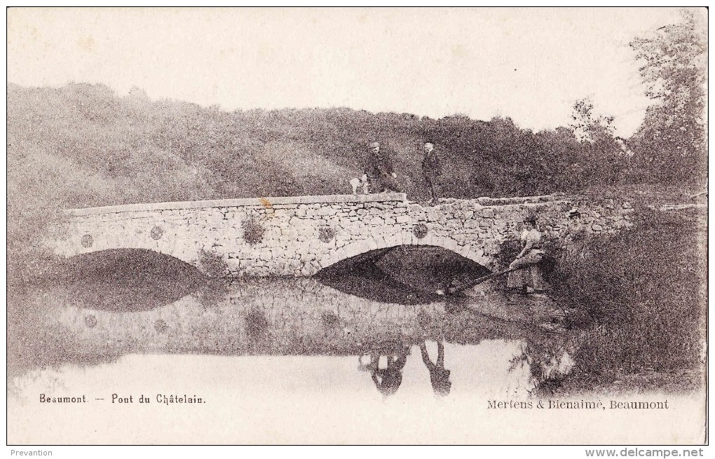 BEAUMONT - Pont Du Châtelain - Beaumont