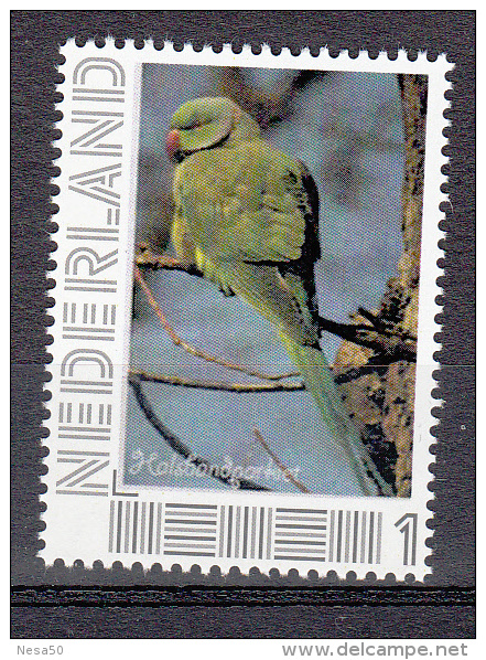 Nederland 2014 Vogel, Bird : Halsbandparkiet, Ring-necked Parakeet - Ungebraucht