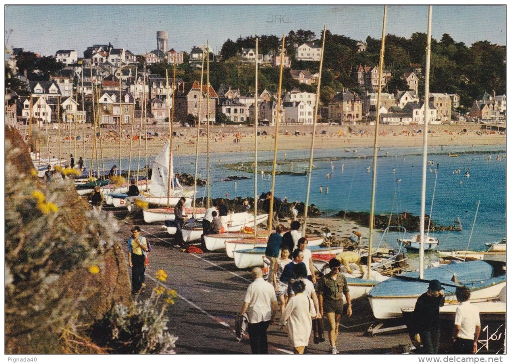 Cp , 22 , PLÉNEUF-VAL-ANDRÉ , Le Port De Plaisances Et Les Dériveurs - Pléneuf-Val-André