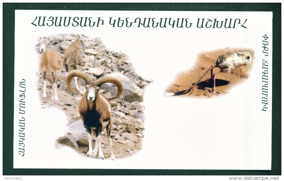 ARMENIA  -  Mouflon And Jerboa  Unused Postcard As Scans - Armenia