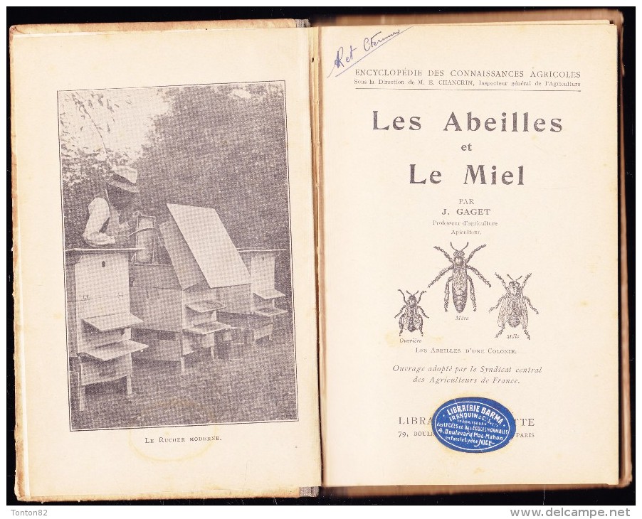 J. Gaget - Les Abeilles Et Le Miel - Librairie Hachette - ( 1937 ) . - 1901-1940