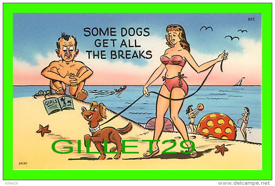 COMICS - HUMOUR - SOME DOGS GET ALL THE BREAKS - TICHNOR QUALITY VIEWS - - Bandes Dessinées