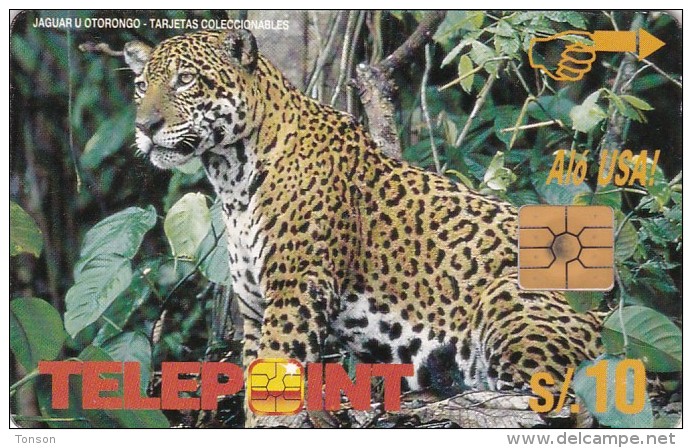 Peru, PER-TE-064 , Jaguar U Otorongo, 2 Scans . - Pérou