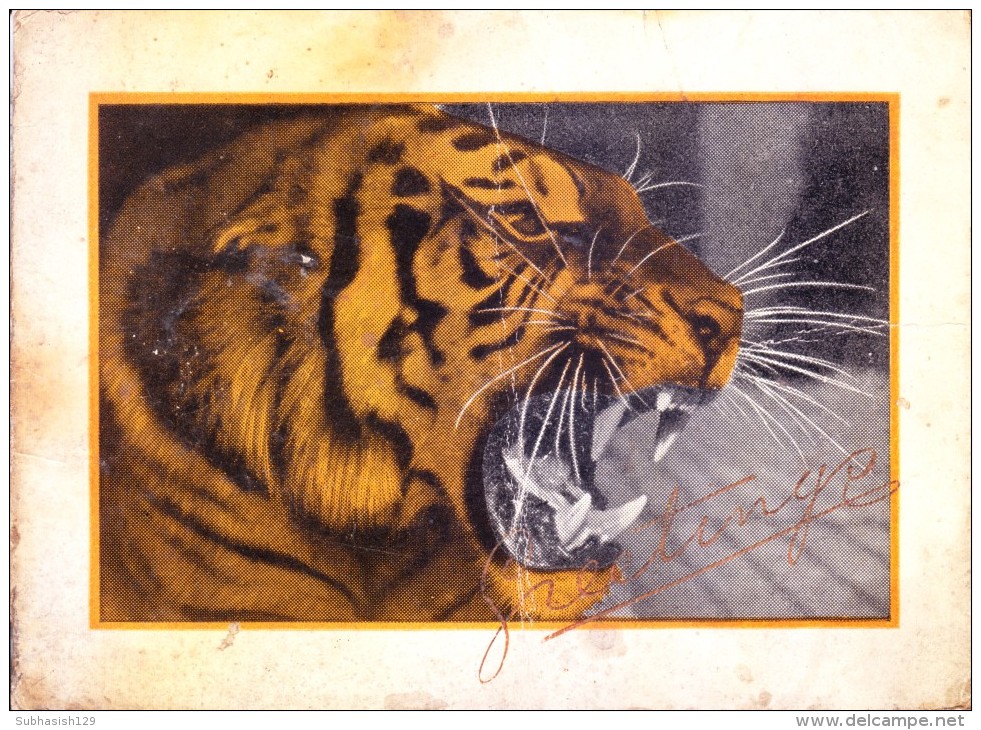 VERY OLD & VINTAGE GREETINGS CARD - IMAGE OF TIGER - Other & Unclassified