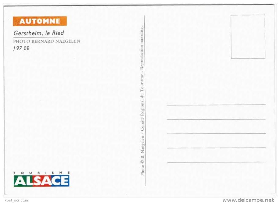 Gerstheim Le Ried - Other & Unclassified
