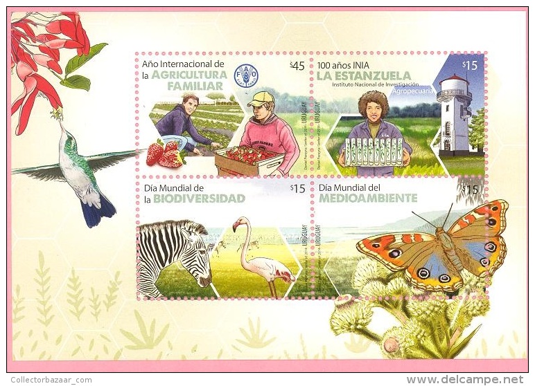 Fauna Flamingo Hummingbird Bird Butterfly Zebra Fruit Strawberry Thirstle Flower  NEW URUGUAY MNH STAMP S/s - Flamingo's