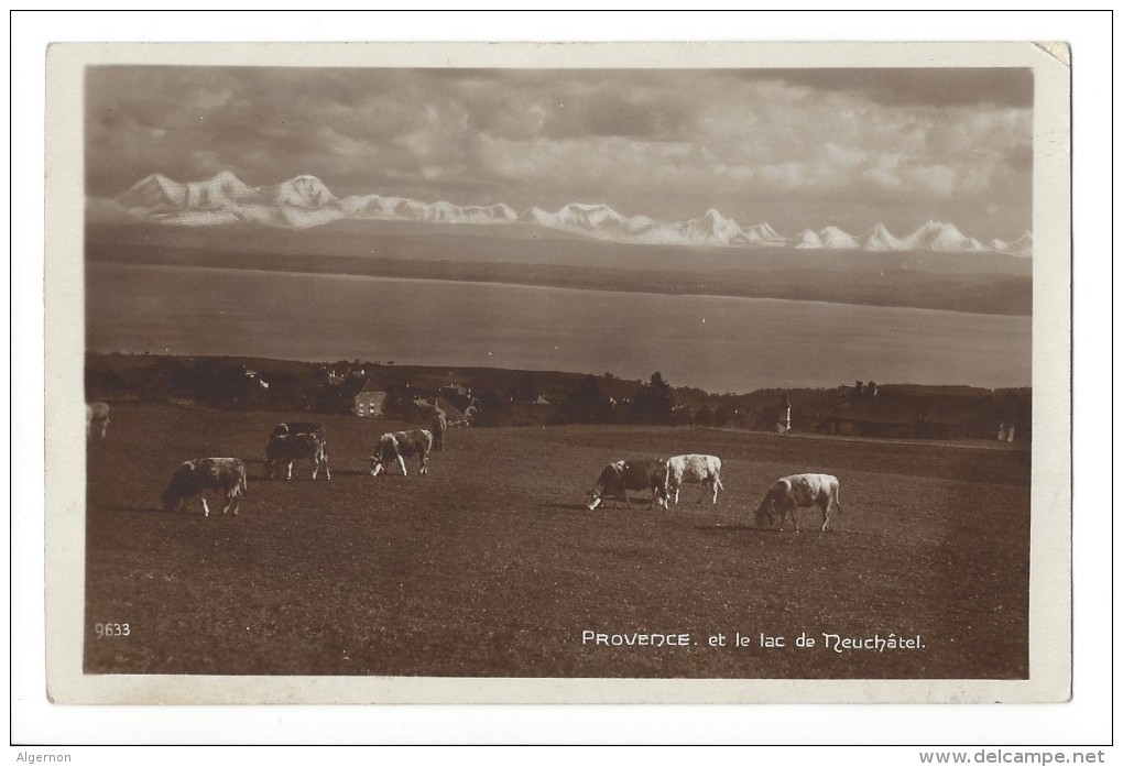 LVA1731 - Provence Et Le Lac De Neuchâtel Vaches - Provence