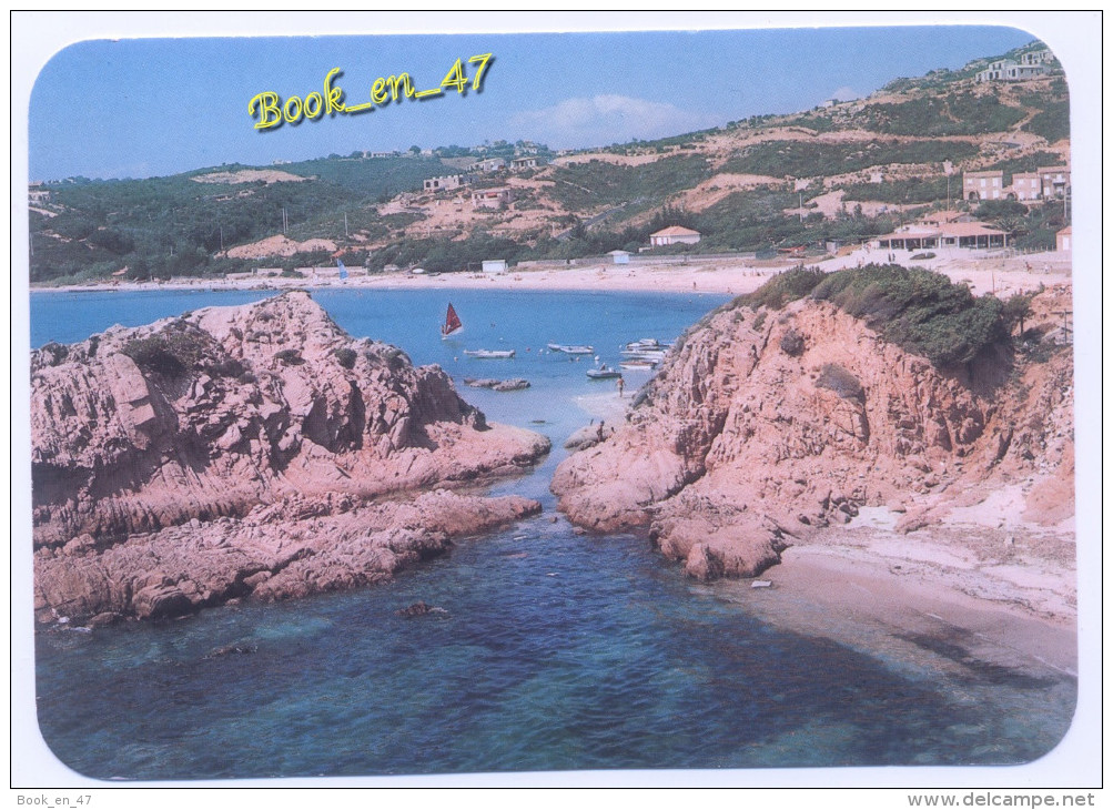 {55533} 20 2A Corse Du Sud Ruppione , Face à La Mer Encombrée D' îlots Rocheux , Un Littoral Conquis Par L' Urbanisation - Autres & Non Classés