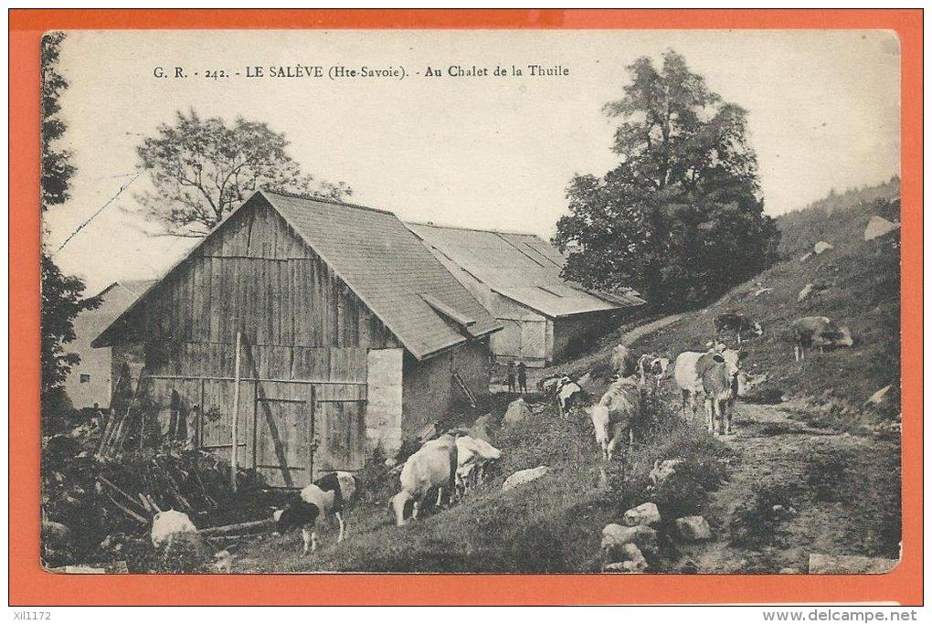 JAD-03  Le Salève. Chalet De La Thuile, Troupeau De Vaches.  Circulé Sous Enveloppe. - Andere & Zonder Classificatie