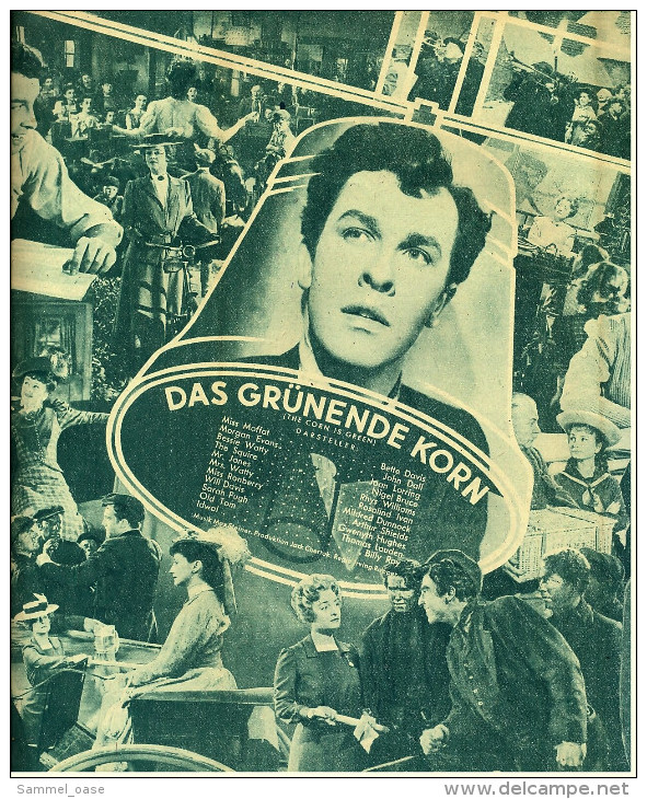 "Filmpost" "Das Grünende Korn" Mit Bete Davis , John Dall  -  Filmprogramm Nr. 47 Von Ca. 1948 - Other & Unclassified