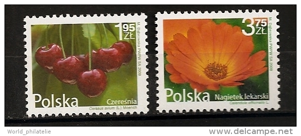 Pologne 2009 N° 4165 / 6 ** Courant, Flore, Fleur, Fruit, Cerises, Fleur De Souci Officinal, Cerasus Avium, Calendula - Ongebruikt