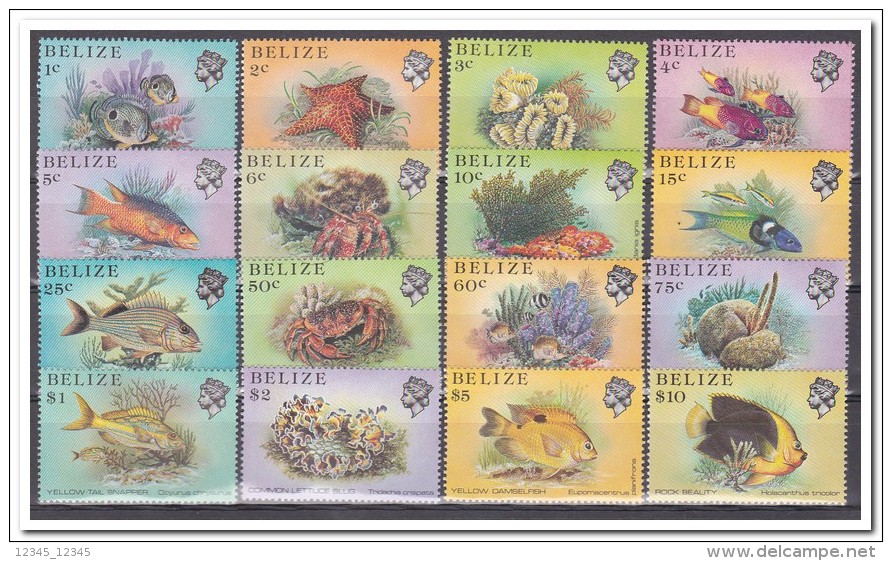 Belize 1984, Postfris MNH, Marine Life - Belize (1973-...)