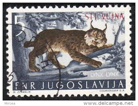 616 - Trieste STT Vujna 1954 - Yv.no.93 Oblitere - Afgestempeld