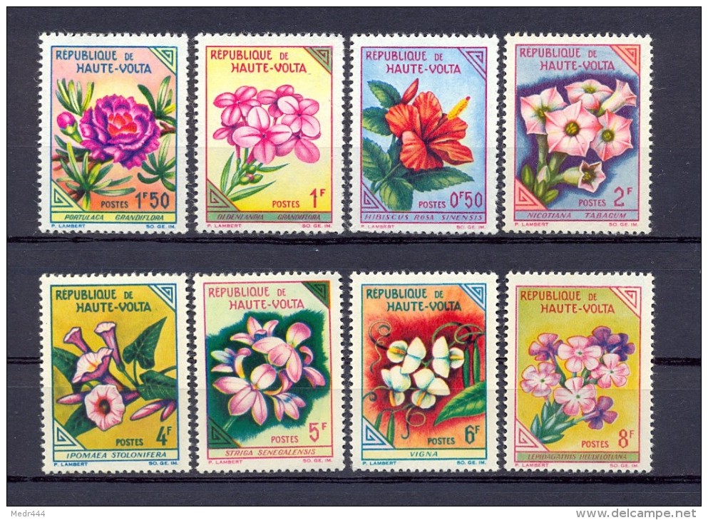 Haute-Volta 1963  - Burkina Fasso Now - Flowers - Burkina Faso (1984-...)