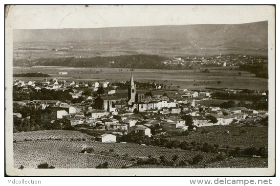 11 CAPENDU / Vue Panoramique / CARTE GLACEE - Capendu