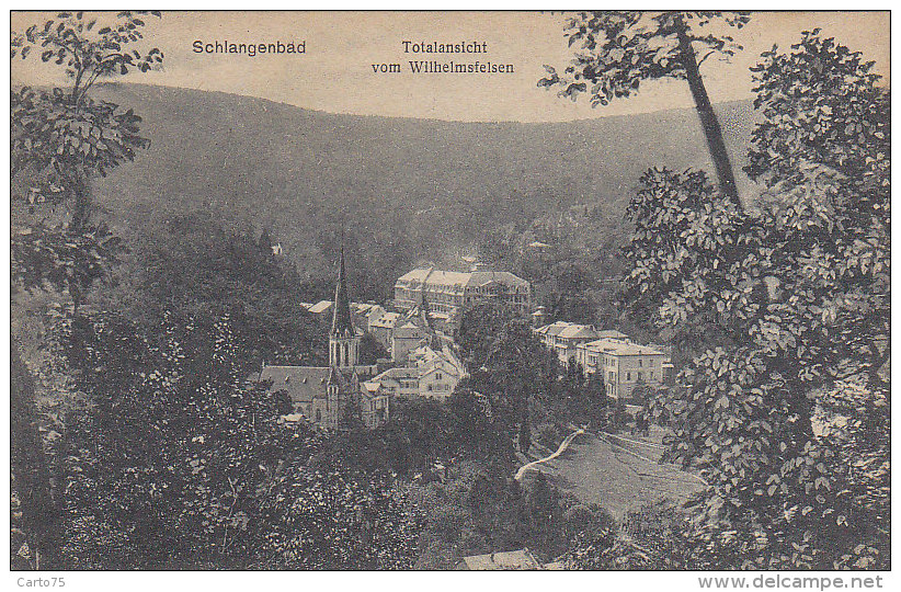 Allemagne - Schlangenbad - Totalansicht Vom Wilhelmsfelsen - Schlangenbad