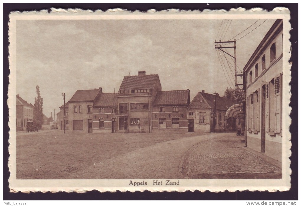 Carte Postale - APPELS - Het Zand - CPA   // - Dendermonde