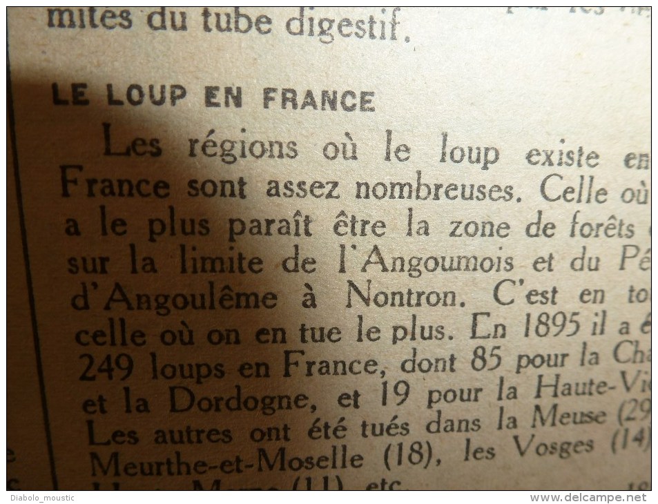 1918 LPDF:Aviateur Guérin;Soissons;PROVENCE; Moreuil;Rouvrelles;Montdidier;Villers-Cot.;Ville-en-;Oulchy-la-V ;ECHO S