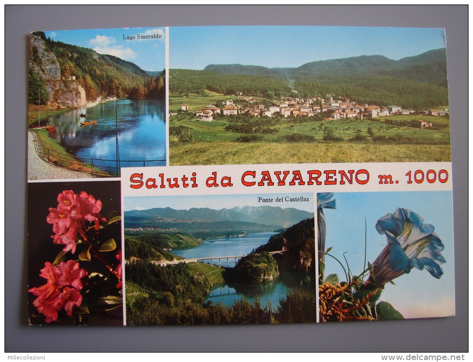 Tn1777)  Saluti Da Cavareno - Trento